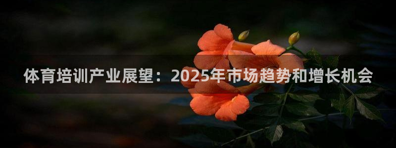 欧陆娱乐图片：体育培训产业展望：2025年市场趋势和