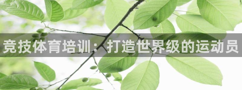 欧陆娱乐app打不开怎么回事视频