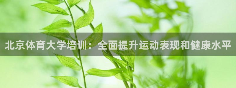 欧陆娱乐是干什么的：北京体育大学培训：全面提升运动表